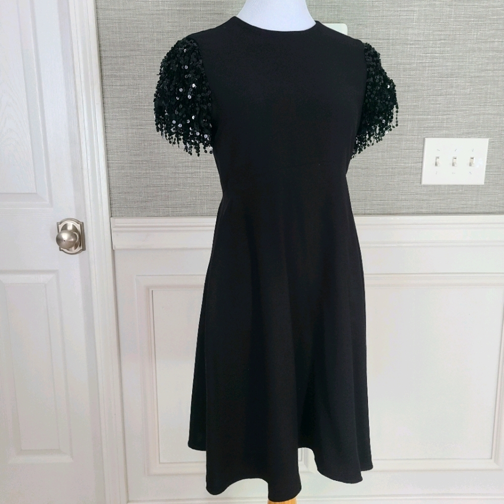 Kate Spade sequin fringe dress - Picture 5 of 6